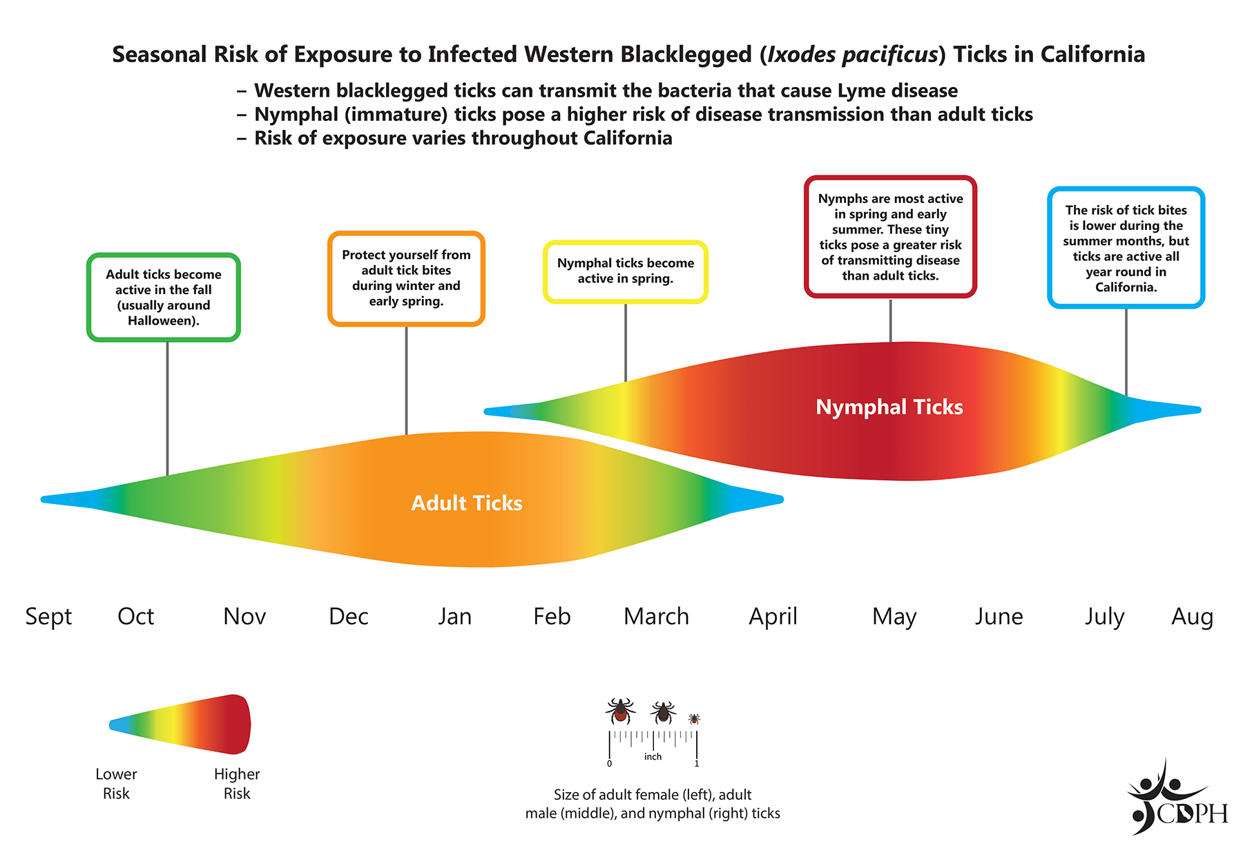 Seasonal Tick Risk Graphic